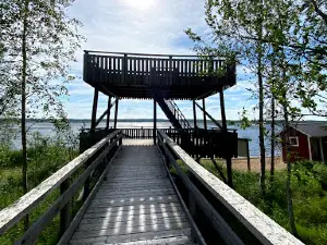 Bird Watching Tower