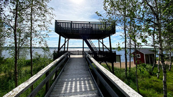 Bird Watching Tower