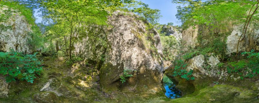 Kotlovi