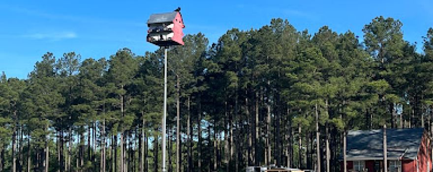 Camp South RV Park