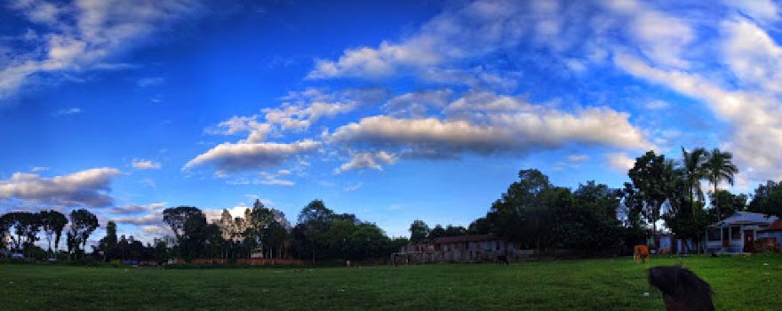 Boral Field
