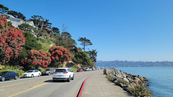 Sausalito Beach