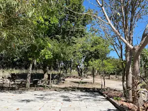 Tu Viện Thường Chiếu