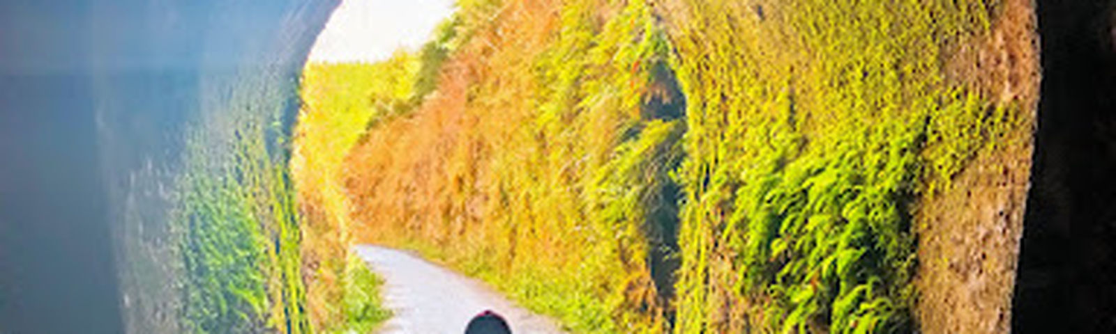 travel