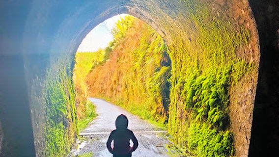 Mt Stuart / Glenore Tunnel