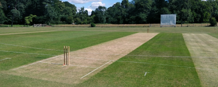 Chawton Cricket Club