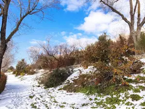 Huerta del Duque Park
