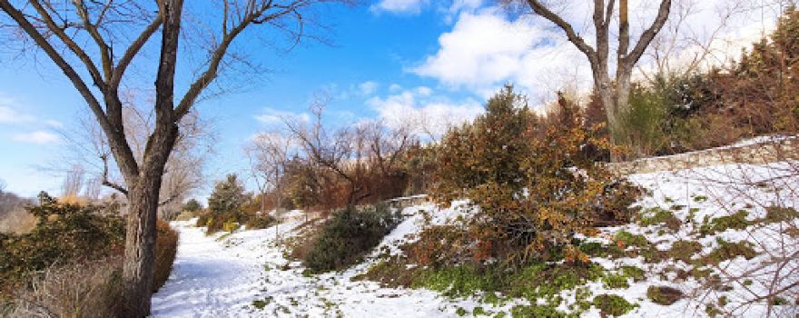 Huerta del Duque Park