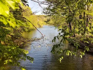 Borsko jezero