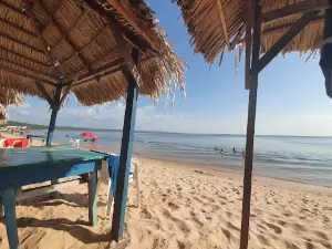 Tapajós
