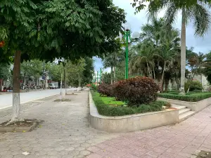 Công Viên Cây Xanh