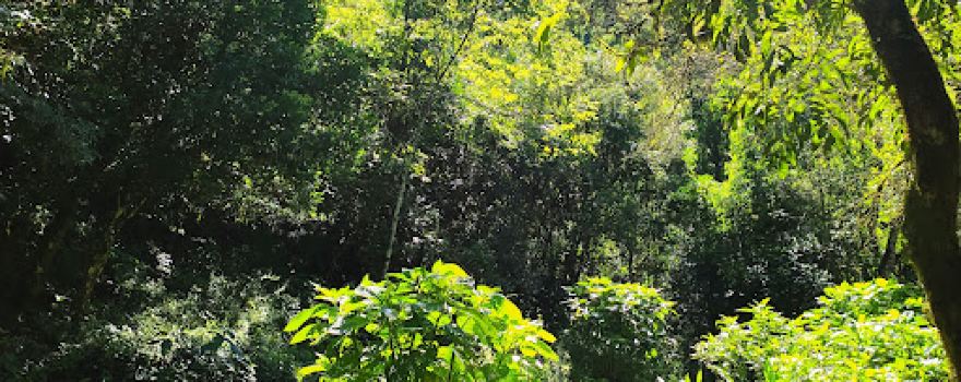 Cascata São Sebastião