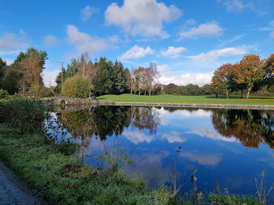 Newbridge Golf Club