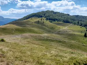 Lisa - Prisojački Katun
