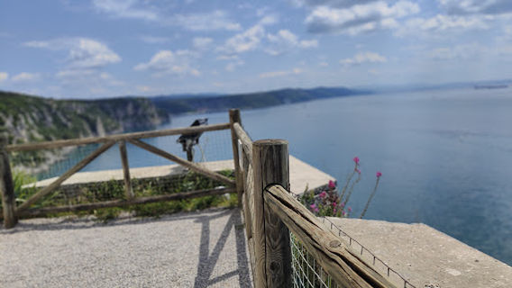 Duino