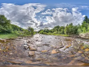 Bovkoty