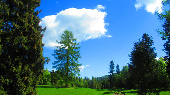 Spišské Vlachy
