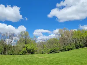 Rolling Hills