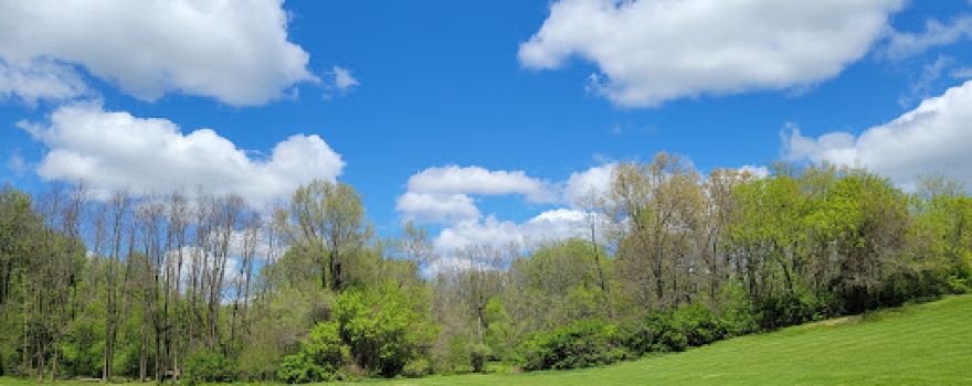 Rolling Hills