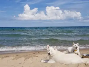 Peterson Beach Sleeping Bear Recreation Area