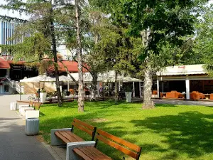 Cleopatra Night Club