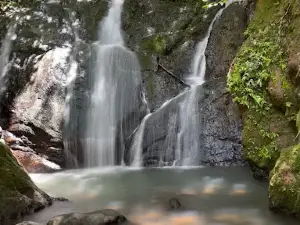 Eco Finca Esperanza