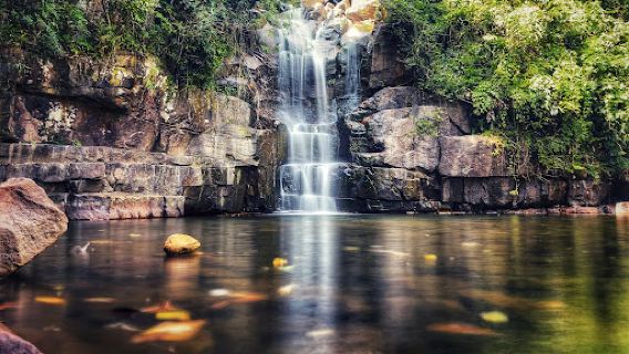 Beetle Waterfall