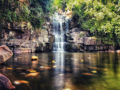 Beetle Waterfall