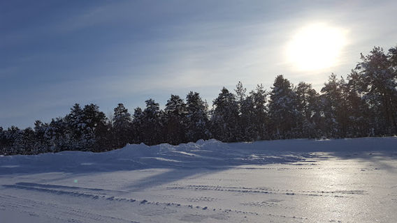 Surgutsky District