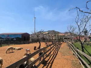 Mian farm Bình Thuận