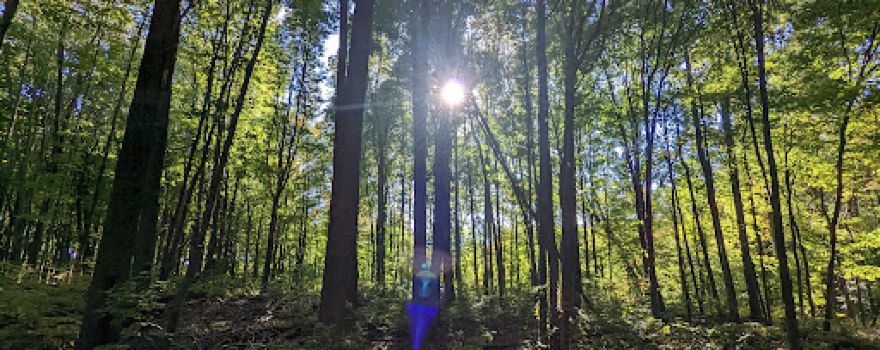 Bluhm County Park