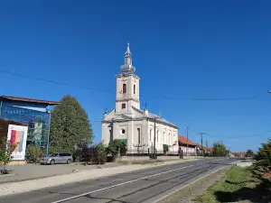 Traian Vuia Museum