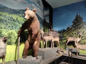 Natural Sciences Museum Cherni Osam