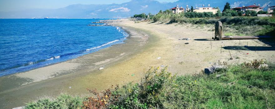 Karaağaç Parkı