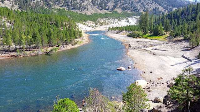 Hayden Valley Overlook at Yellowstone River