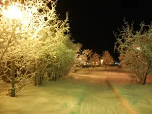 Площадь Победы
