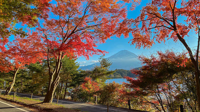 Rusugaiwa (Rusu Rock)