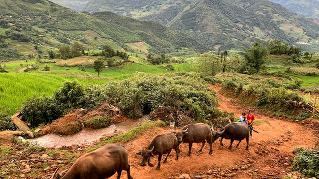 Choản Thèn Look out