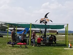 Falcon Skydiving