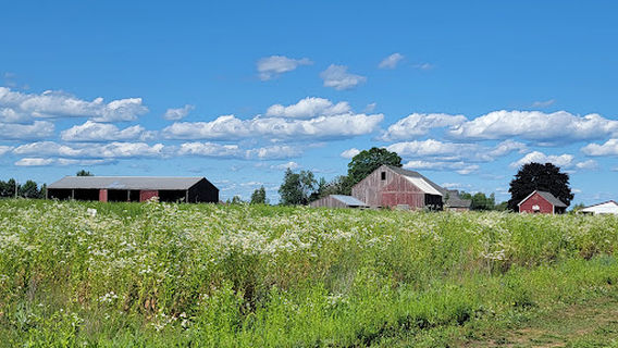 RJ Hall’s Family Farm (Formerly Tate’s)