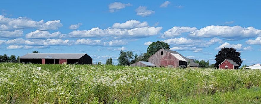 RJ Hall’s Family Farm (Formerly Tate’s)