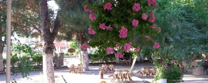 Şenol Akar Martyrs Park