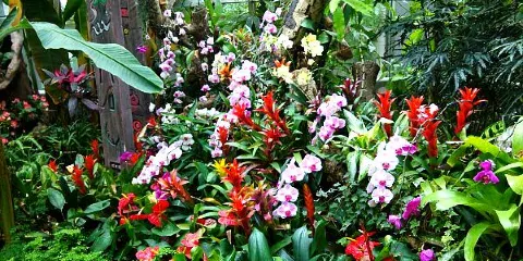 阜寧縣西郊植物園