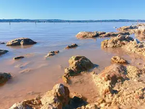 The Pink Lake Of Torrevieja
