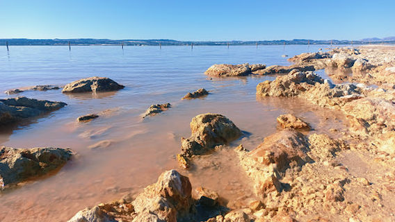 The Pink Lake Of Torrevieja