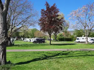 Campingplatz am Rhein