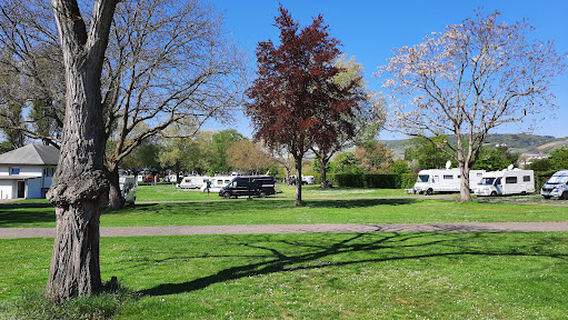 Campingplatz am Rhein