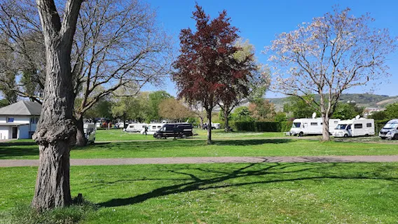 Campingplatz am Rhein