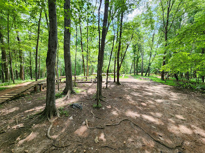 Peaks View Park