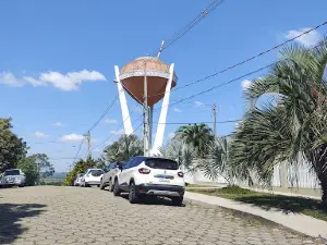 Cuia de Chimarrão Gigante